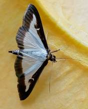 Foto 2-09-18 om 14.01